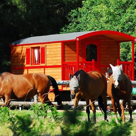 Gypsy Nature B&B Jumelles  Pokoj fotografie