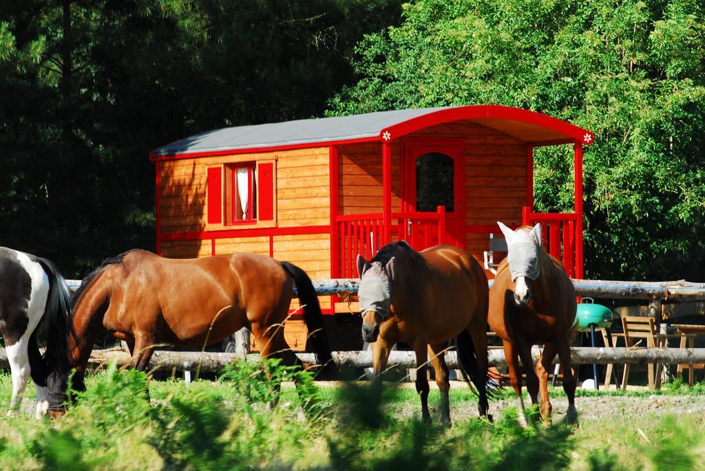 Gypsy Nature B&B Jumelles  Pokoj fotografie