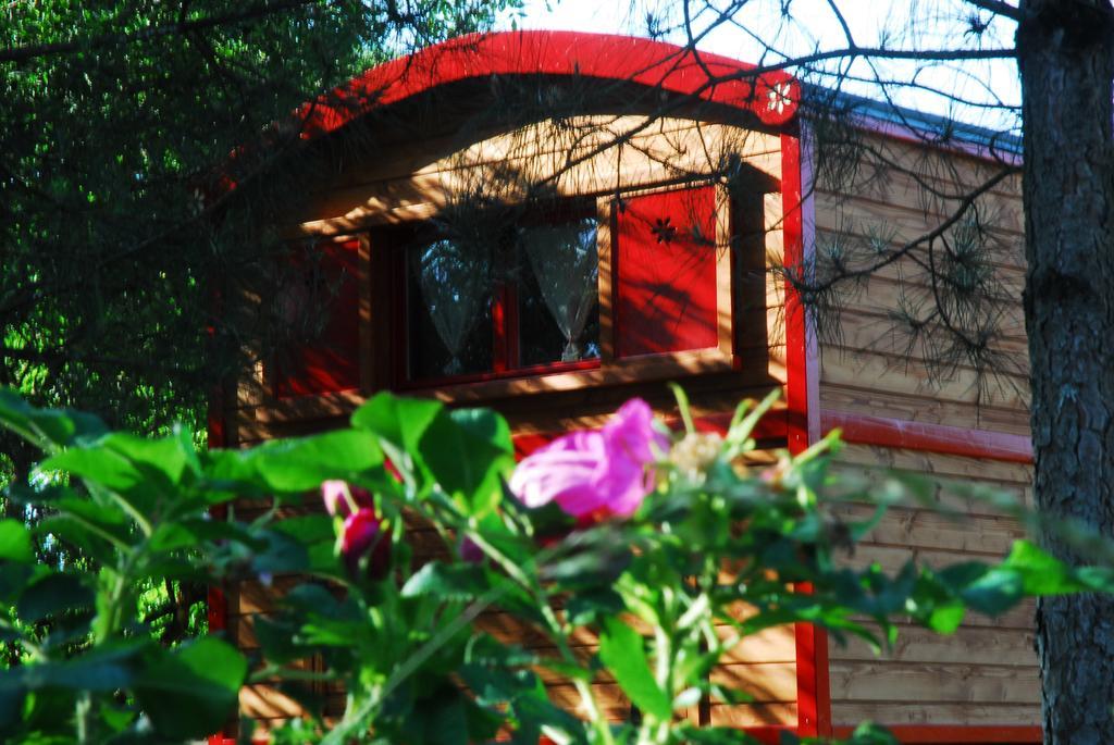 Gypsy Nature B&B Jumelles  Pokoj fotografie